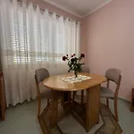 Insa Daily